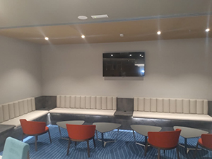 pincelsur pintores ecija sevilla malaga cordoba andalucia