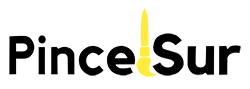 logo pincelsur